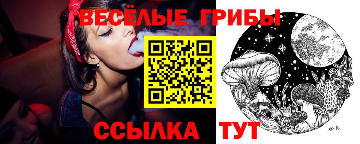 Галлюциногенные грибы Psilocybine cubensis  Вход с VPN  Нефтеюганск 